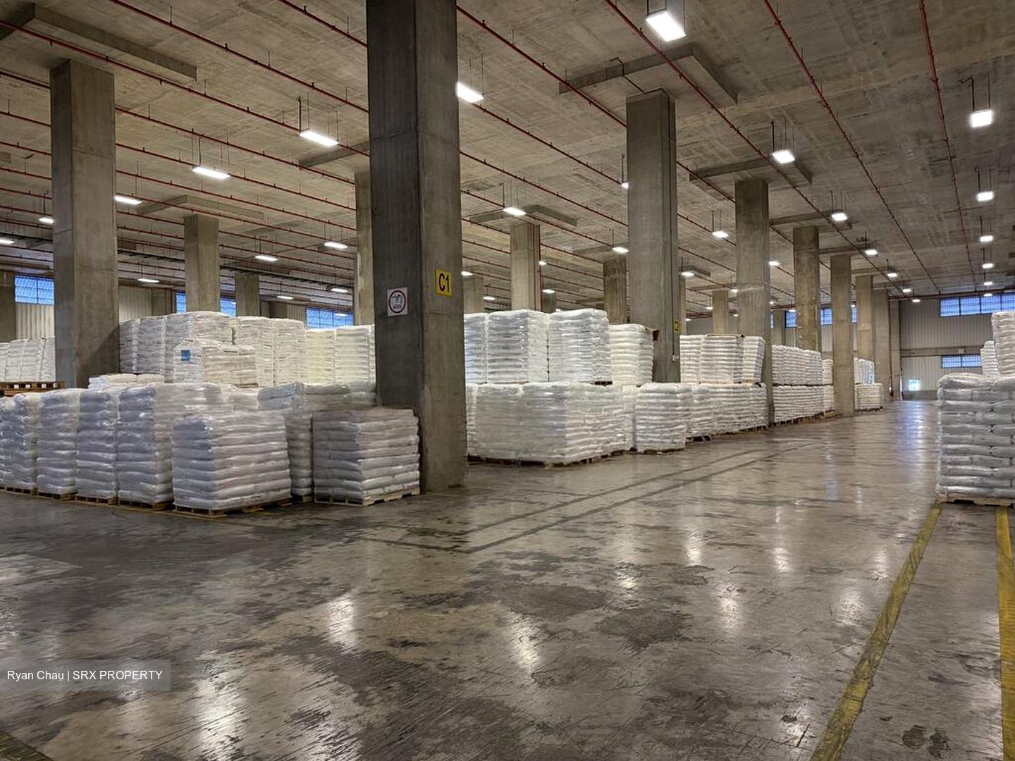 Benoi Crescent (D22), Warehouse #523597391